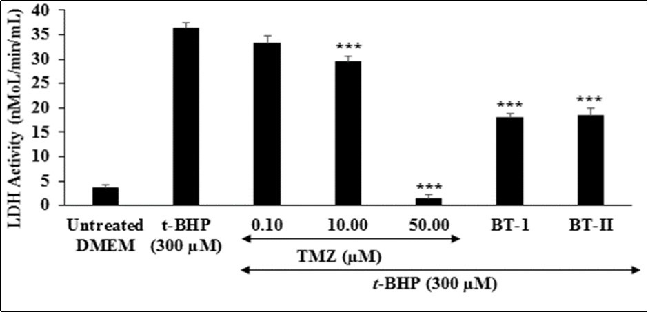 The effect of the test items on lactate dehydrogenase (LDH) against tert-butyl                 hydroperoxide (t-BHP) induced damage. TMZ: Trimetazidine; BT-I: One-time Biofield Energy Treated DMEM; BT-II: Two-times Biofield Energy Treated DMEM.
