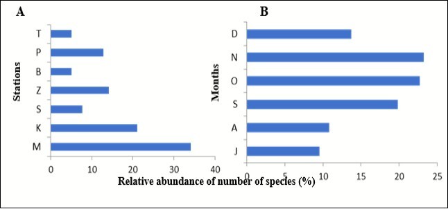 Comparison relative abundance percentage of sample number of flatfish species  A) for each station and B) for each month from July to December 2017.