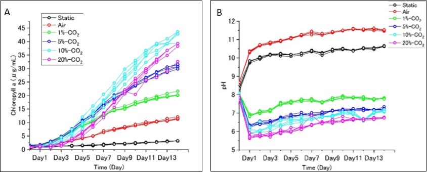 The experimental results of Desmodesmus sp. culture under several conditions. (a) The time-dependent change of Chlorophyll-a concentration. (b) The time-dependent change of pH of water.