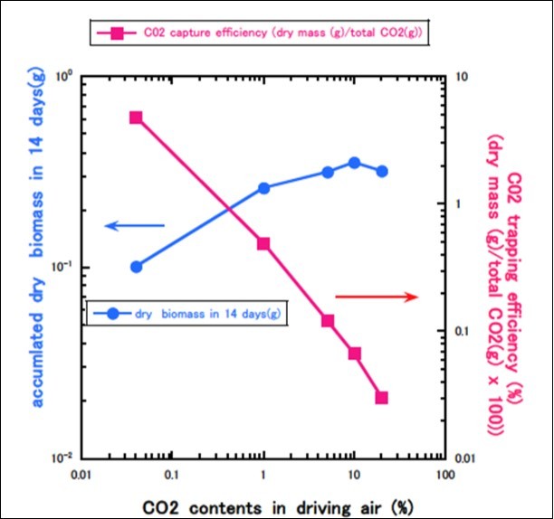 CO2 capture efficiency vs. CO2 content in the feeding air. Desmodesmus sp. works with highest efficiency in CO2              content around 0.04%.