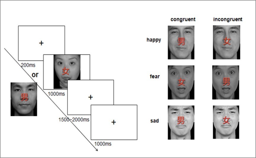 Experimental Flowchart