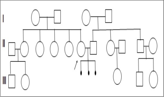 Three generations pedigree