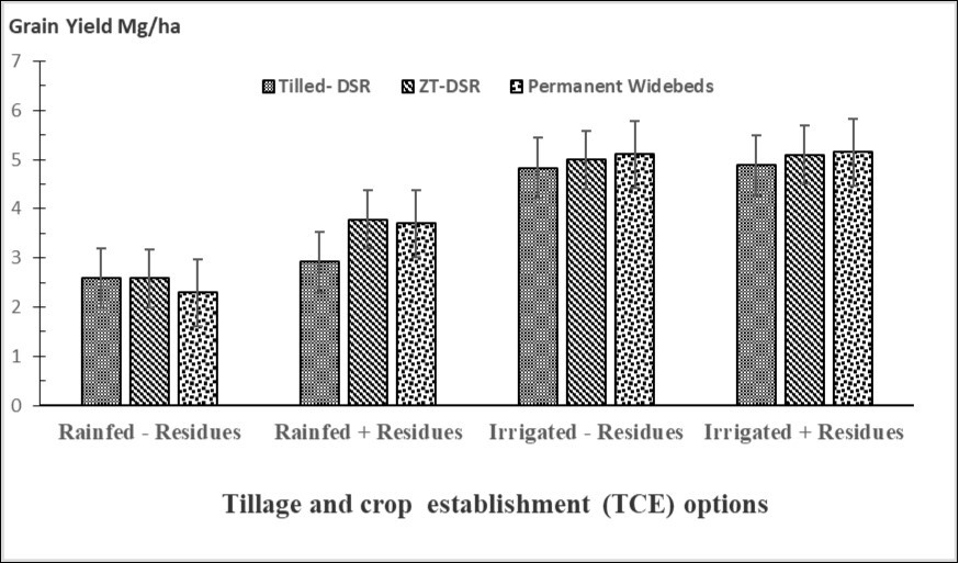 Effect of TCE options, residue retention and irrigation provisions (+/-) on           rice productivity following the PMP-DS technology.
