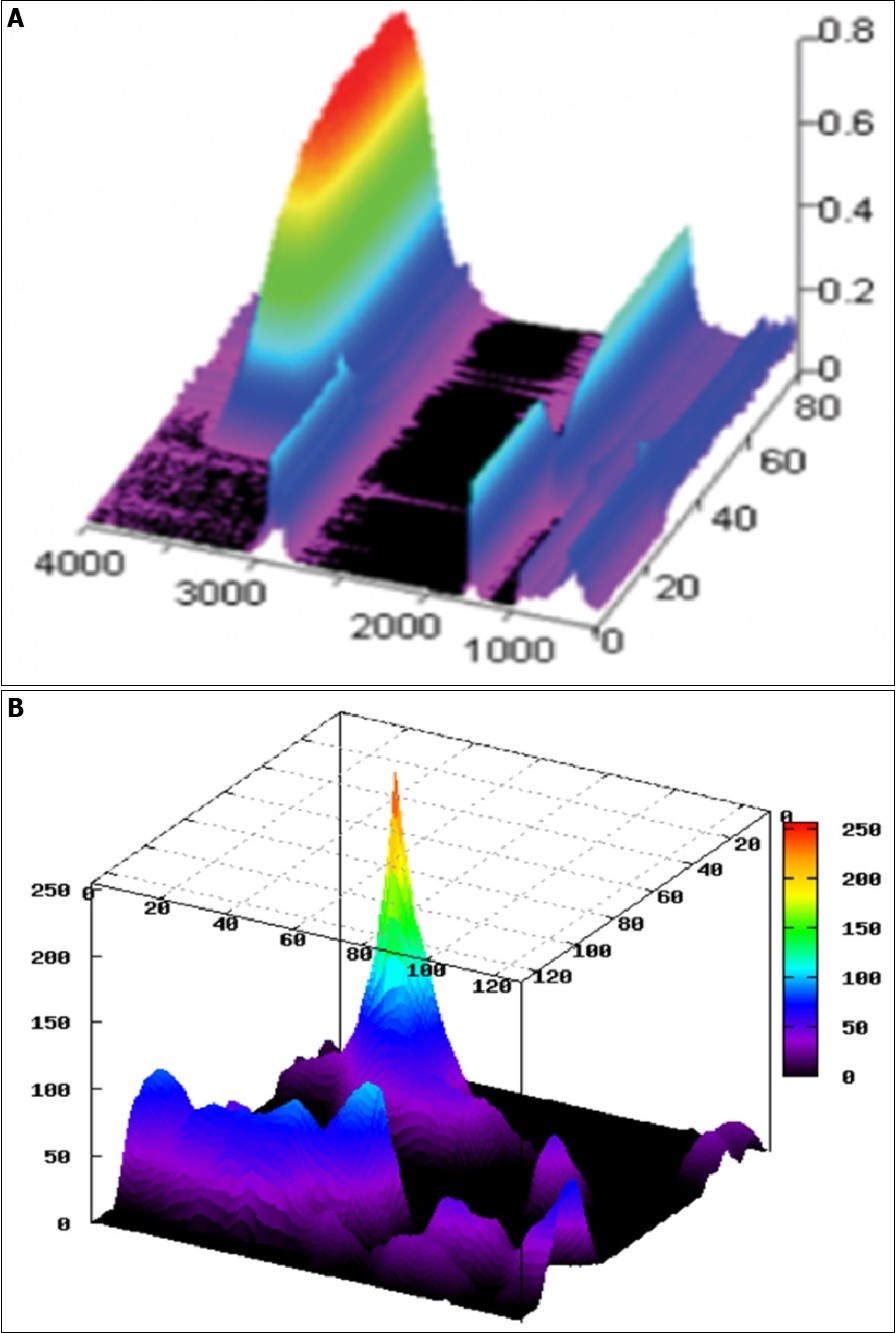 3D Simulation of (a) FT–IR spectrum and (b) Raman spectrum of Tetrodotoxin (TTX).