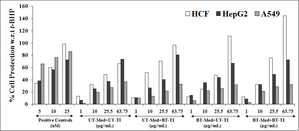 Cytoprotective action of the test formulation in human cardiac fibroblasts cells (HCF), human hepatoma cells (HepG2), and adenocarcinomic human alveolar basal epithelial cells (A549) against               tert - butyl hydroperoxide (t -BHP) induced damage. Trimetazidine (µM), silymarin (µg/mL), and              quercetin (µM) were used as positive control in HCF, HepG2, and A549 cells, respectively. UT:                           Untreated; Med: Medium; BT: Biofield Treated; TI: Test item.