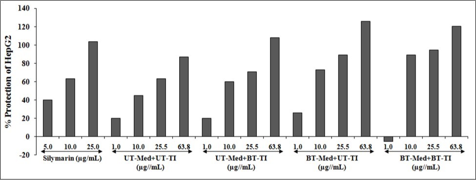 Effect of the test formulation on the percent protection of human liver cancer (HepG2) cells in terms of decreased alanine amino transaminase (ALT) activity under the stimulation of tert-butyl                   hydroperoxide (t-BHP). UT: Untreated; Med: Medium; BT: Biofield Treated; TI: Test item.
