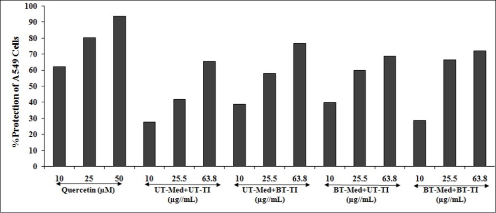 Effect of the test formulation on the percent protection of lungs cells (A549) in terms of                 increased SOD activity under the stimulation of tert-butyl hydroperoxide (t-BHP). UT: Untreated; Med: Medium; BT: Biofield Treated; TI: Test item.