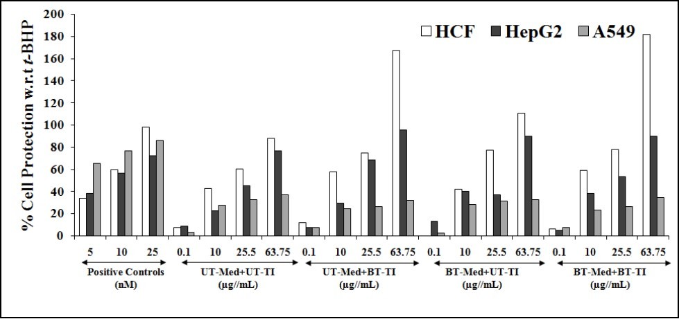 Cytoprotective action of the test formulation in human cardiac fibroblasts cells (HCF), human hepatoma cells (HepG2), and adenocarcinomic human alveolar basal epithelial cells (A549) against            tert-butyl hydroperoxide (t-BHP) induced damage. Trimetazidine (µM), silymarin (µg/mL), and quercetin (µM) were used as positive control in HCF, HepG2, and A549 cells, respectively. UT: Untreated; Med: Medium; BT: Biofield Treated; TI: Test item.
