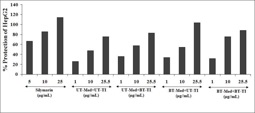 The increased percentage protection of liver cells (HepG2) that represents decreased (ALT) Alanine amino transaminase activity under the stimulation of tert-butyl hydroperoxide (t-BHP). UT:              Untreated; Med: Medium; BT: Biofield Treated; TI: Test item.