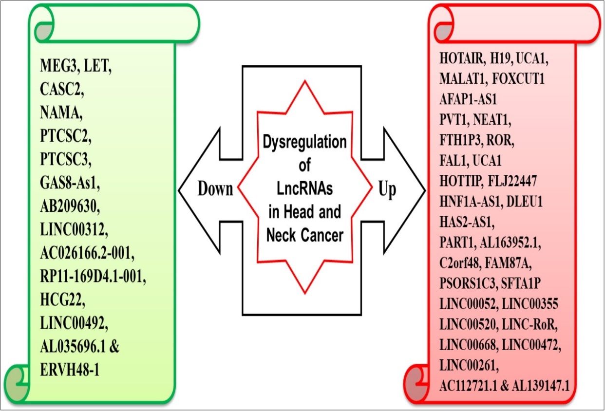 Dysregulated expression of LncRNAs in head and neck cancer
