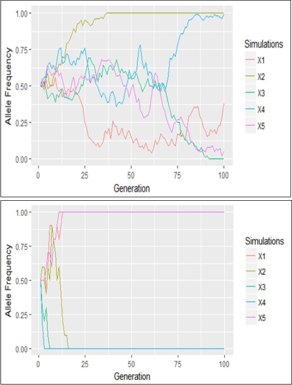 Genetic drift of the process based on the                    Wright-Fisher’s model when N=5 left and N=50 right