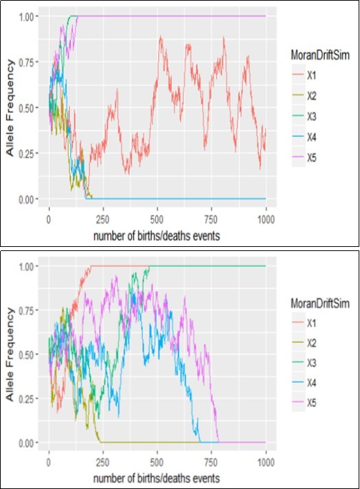 Genetic drift of the process based on the  Moran’s model when N=5 and N=50