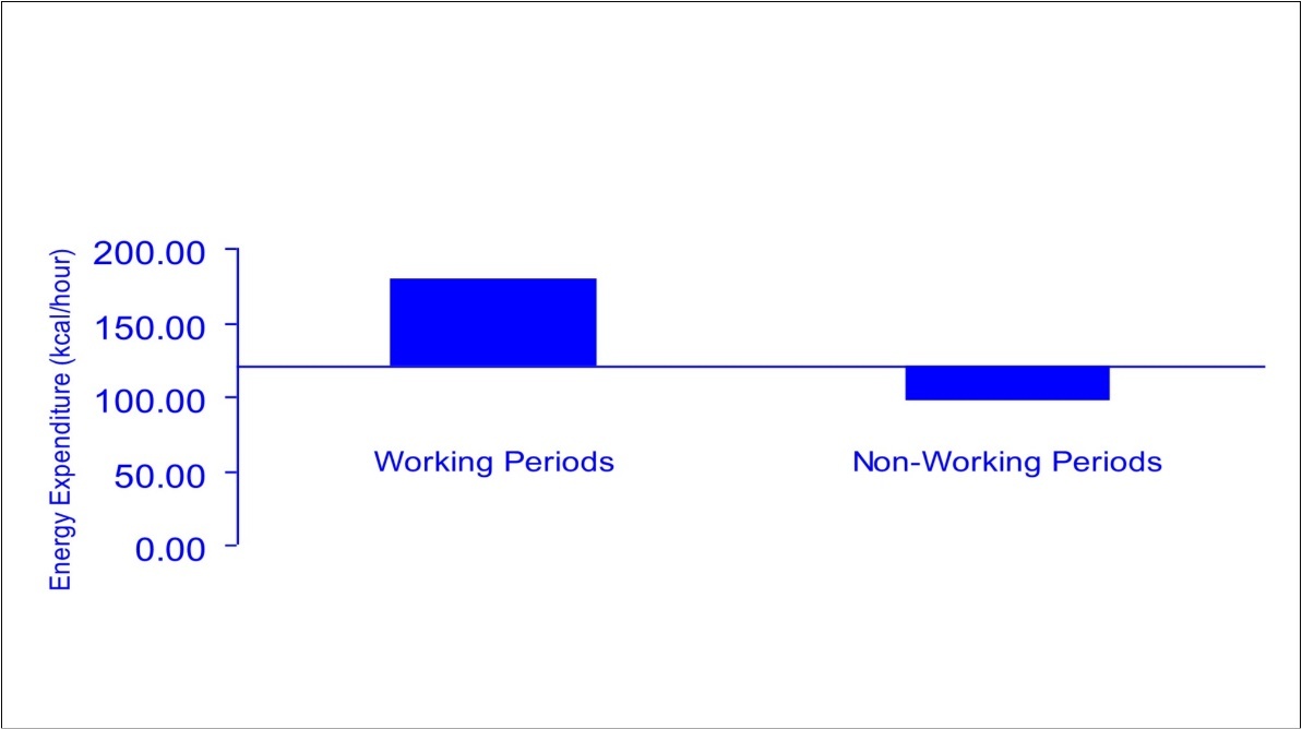 Mean hourly energy expenditure for male young adult restaurant servers relative to age- and sex-specific cohort as represented by horizontal axis: working and non-working periods.