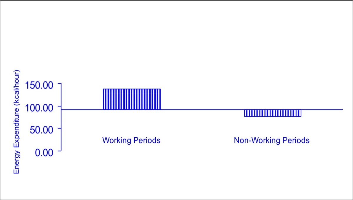 Hourly energy expenditure for female young adult restaurant server relative to age- and sex-specific cohort as represented by horizontal axis: working and non-working periods.