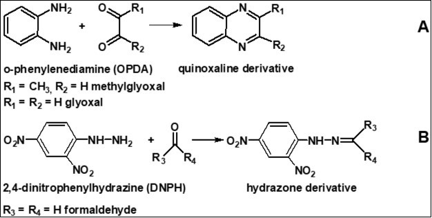 Derivatization of dicarbonyls and carbonyls using o-phenylenediamine and 2,4-dinitrophenylhydrazine, respectively
