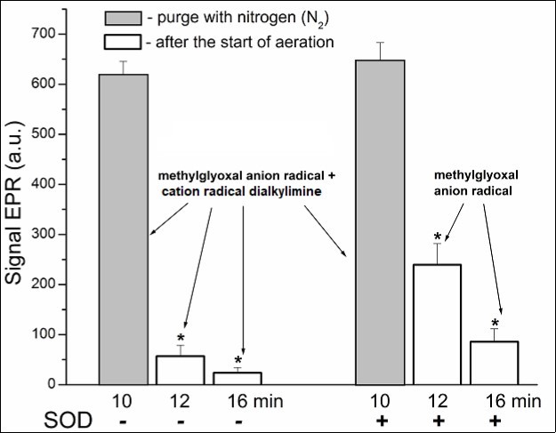 The effect oxygen and SOD produce on the level of organic free radicals        resulting from the reaction between methylglyoxal and L-lysine. In the figure: EPR           signals of these radicals recorded under nitrogen purging are put in gray; the same        samples 2 and 6 min after the beginning of aeration  – in white. The reaction mixture content was the same as in the legend to Fig. 3. All values are mean ± SEM. n=5; *p<0.01.
