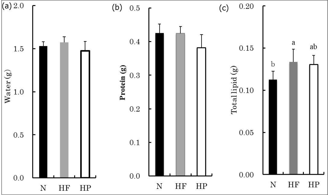 The water, protein and total lipid in the forearm flexors. The values are presented as the means ± SD. The values that do not share a common superscript differ significantly (P < 0.05).