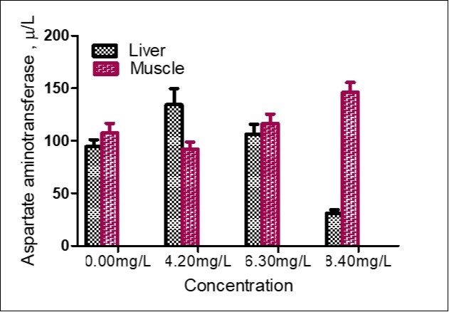 Concentration of Aspartate aminotransferase in liver and muscle of Parophiocephalus obscurus exposed to sublethal                concentration of Aluminum phosphide for 14 days