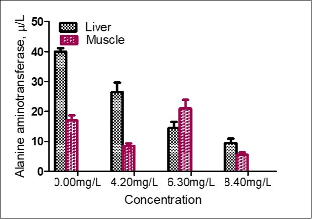 Concentration of Alanine aminotransferase in liver and muscle of Parophiocephalus obscurus exposed to sublethal               concentration of Aluminum phosphide for 14 days