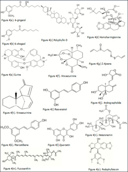 Plant derived biomolecules studied in leukemias