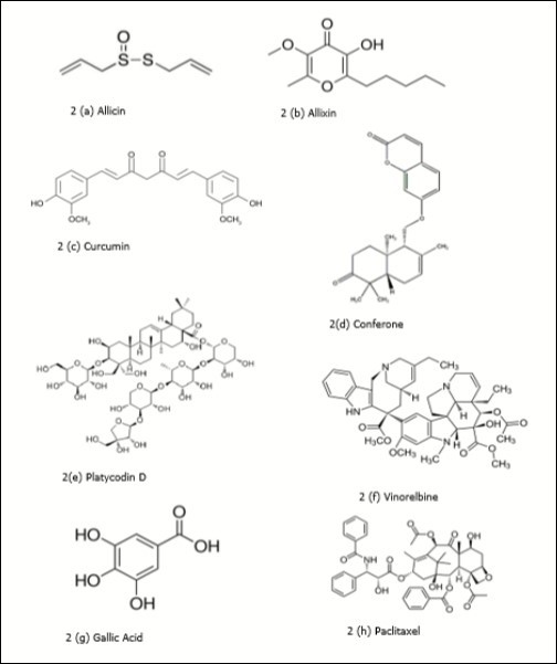 Plant derived biomolecules studied in lung cancer