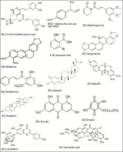 Plant derived biomolecules studied in colorectal cancer