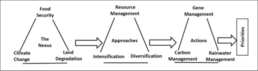 Land degradation-food security- climate change nexus.