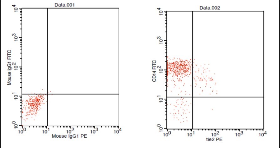 E. LC Patent CD 14 & Tie2 coexpression 4% & isotopic control