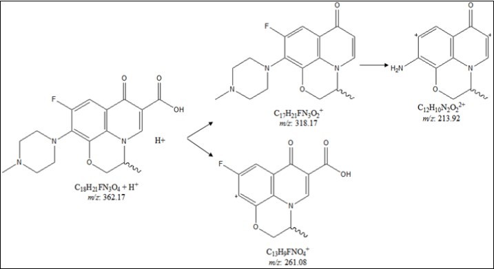 Proposed fragmentation pattern of ofloxacin with respect to the mass spectra.