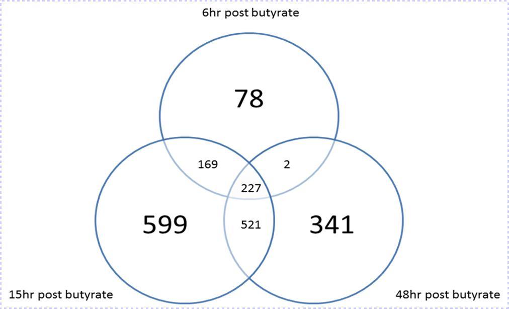 Venn diagram showing the breakdown of differentially expressed genes for HT29 cells treated with 5mM butyrate at 6, 15 and 48 hrs time points when compared with control untreated HT29 cells (0 hr).