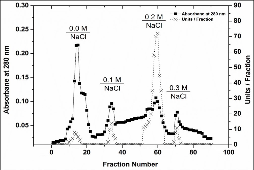 A typical elution profile for the chromatography of peroxidase using a                    CM-Sepharose column.