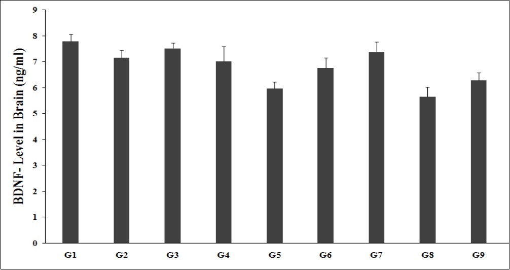 The effect of the test formulation on the level of brain BDNF in Sprague Dawley rats. G: Group; G1: Normal control; G2: Disease control (UCS: Unpredictable Chronic Stress + 0.5% CMC); G3: Reference item (UCS + Imipramine hydrochloride 30 mg/kg); G4: (UCS + untreated test formulation); G5: (UCS + Biofield Energy Treated test formulation); G6: (UCS + Biofield      Energy Treatment per se to animals from day -15; G7: (UCS + Biofield Energy Treated test             formulation from day -15); G8: (UCS + Biofield Energy Treatment per se plus Biofield Energy Treated test formulation from day -15), and G9: (UCS + Biofield Energy Treatment per se                animals plus untreated test formulation). Values are presented as mean ± SEM (n=6).