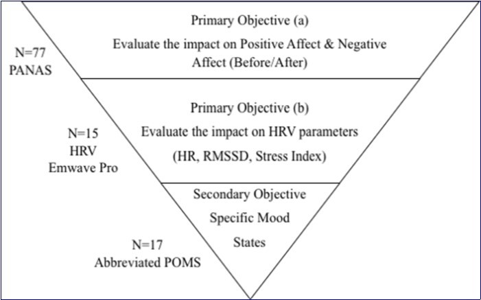 The study methodology