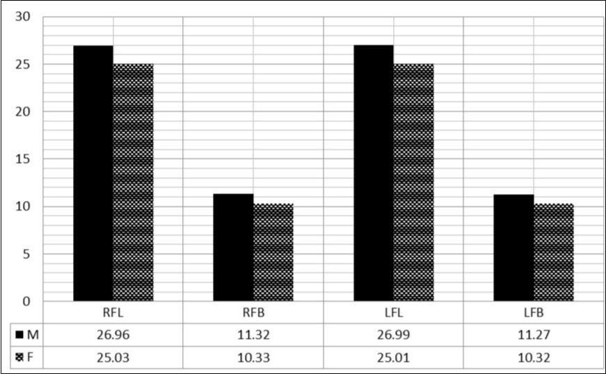 Bar chart of overall average for measured foot parameters