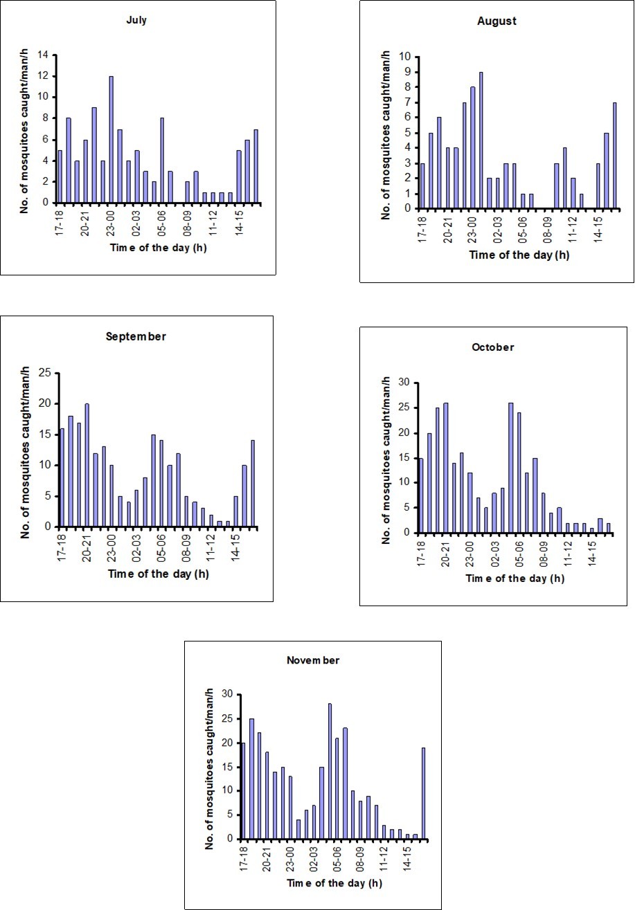 Biting pattern of mosquitoes collected from the study site during the period from July 2006 to November 2006