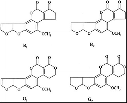 General structures of major                     aflatoxins AFB1, AFB2, AFG1, and AFG2 6.