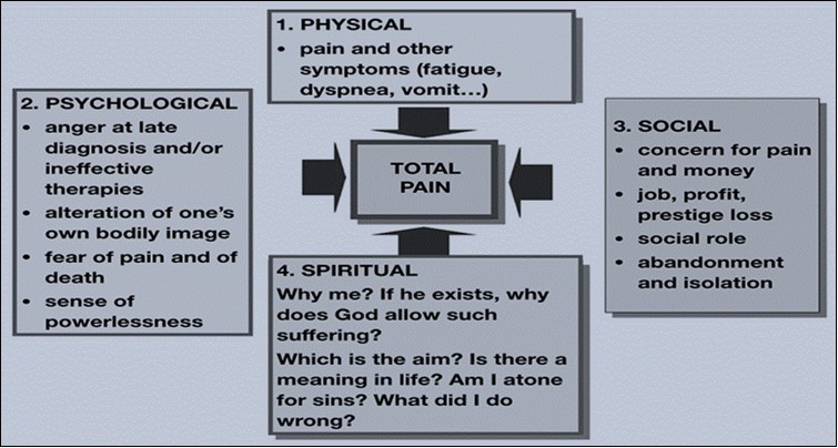 The Biopsychosocial model