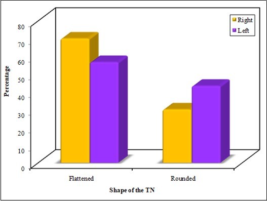 Showing shape of the PTN
