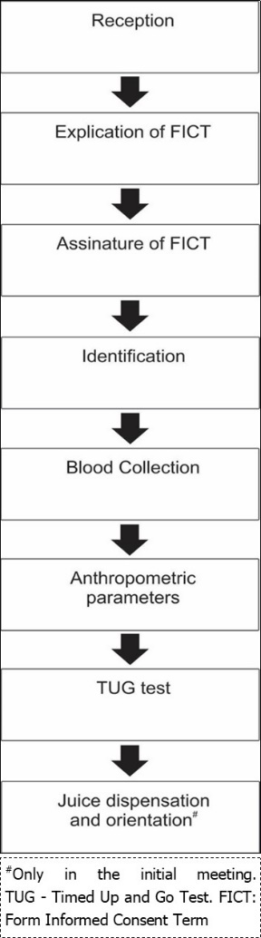 Flowchart of experimental design in the initial and final             meetings.
