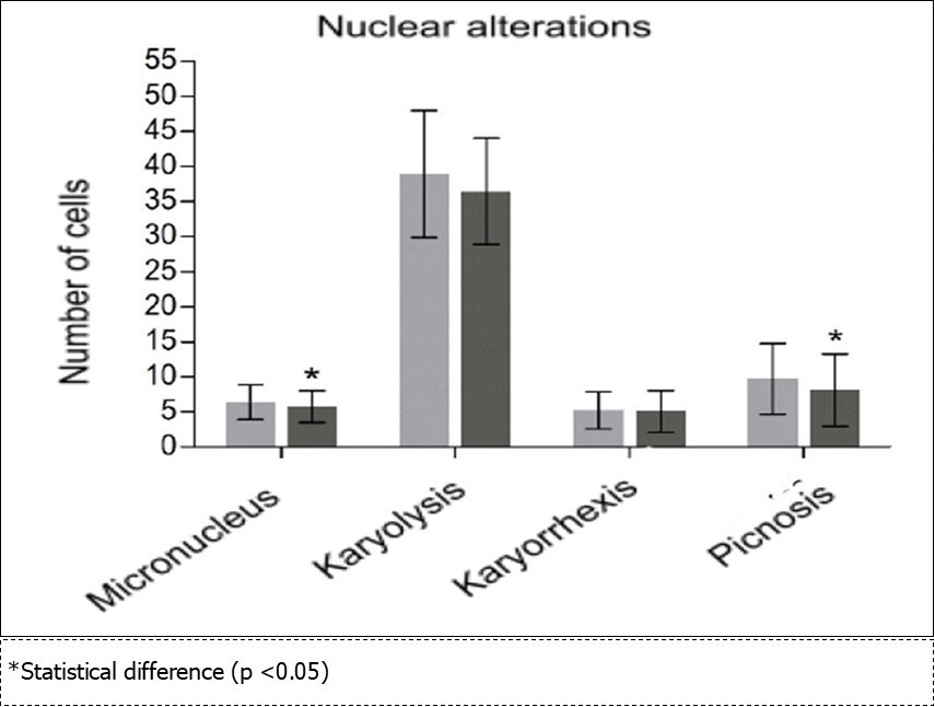 Frequency (number of cells) of nuclear alterations in exfoliated buccal mucosa cells found in a total of 2,000 cells from each participant at the beginning (grey color) and end (black color) of the grape juice consumption.