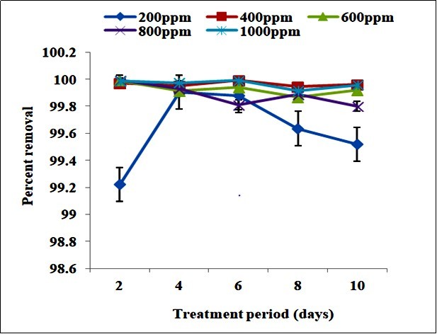 Percent removal of lead after treatment with Bacillus subtilis