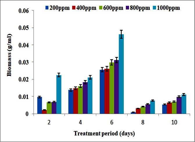 Biomass (g/ml) of  Bacillus subtilis during lead treatment