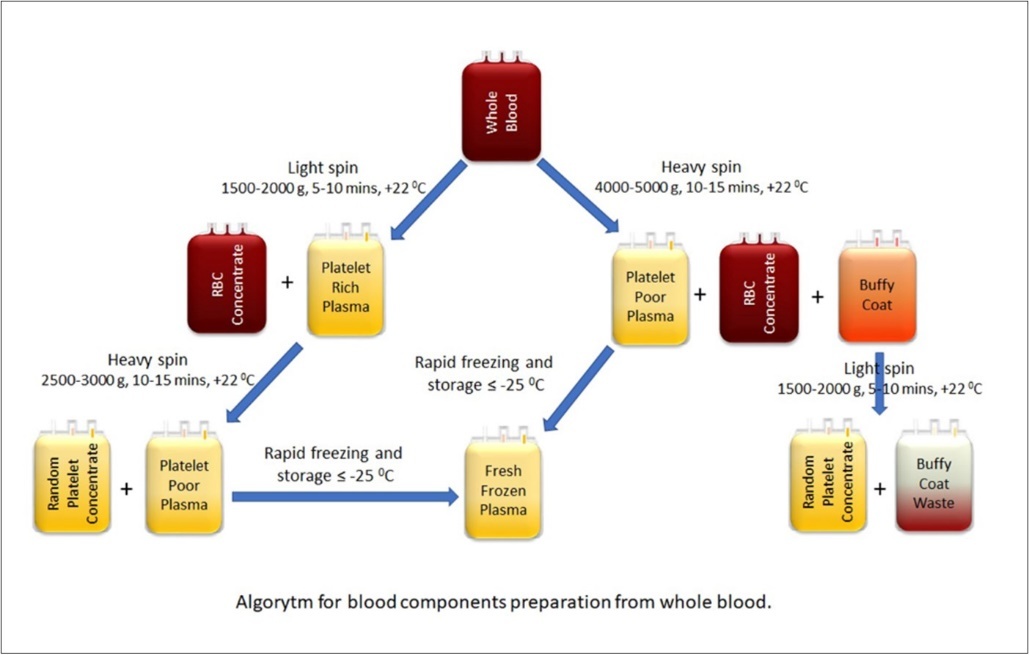 Separation of blood components from the whole blood by             classical-conventional method. Whole blood can be separated by two          different methods depending on whether the first centrifugation speed is heavy and light spin. In the Buffy coat method, centrifugation starts with heavy spin.