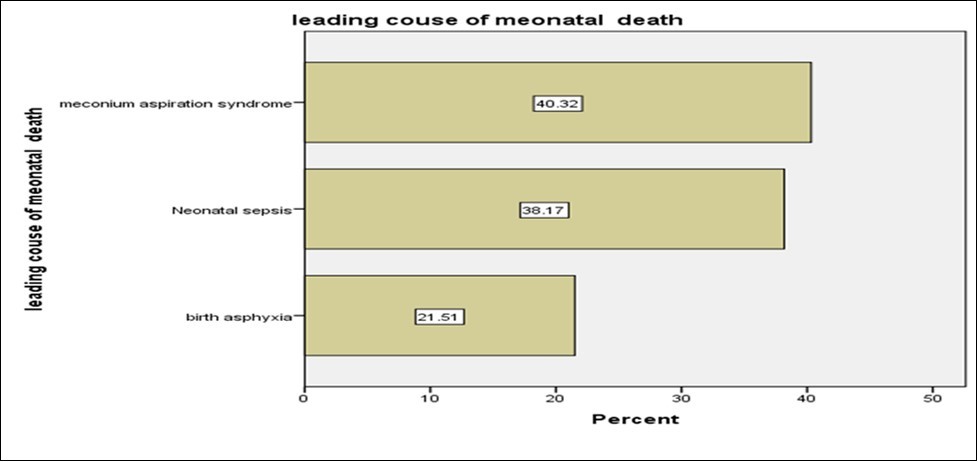Leading causes of perinatal deaths in Shenen Gibe General Hospital, south west Ethiopia, 2020