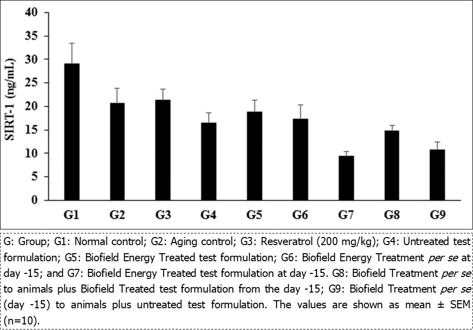 Representing the impact of the Biofield Treated and untreated test formulation on the level of the level of SIRT-1 protein in rat brain homogenate.