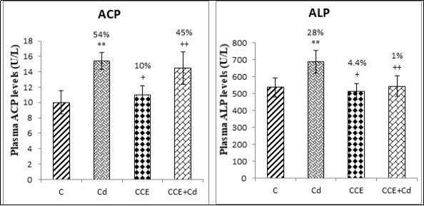 Plasma levels of total tartrate-resistant acid phosphatase (ACP) and total alkaline                phosphatase (ALP) in the femurs of control and experimental rats after 10 weeks of treatment.