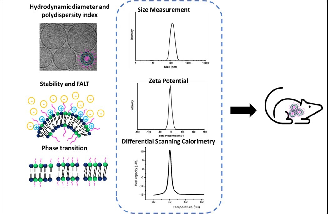 Assessment of physicochemical properties of PEGylated Liposome