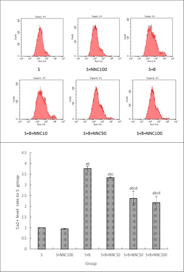 The Ca2+ level rated to the cells calcium fluorescence level in S group (Mean±SD,n=3). aP<0.05 VS S group, bP<0.05 VS S+NNC100 group, cP<0.05 VS S +B group, dP<0.05 VS S +B +NNC10 group.