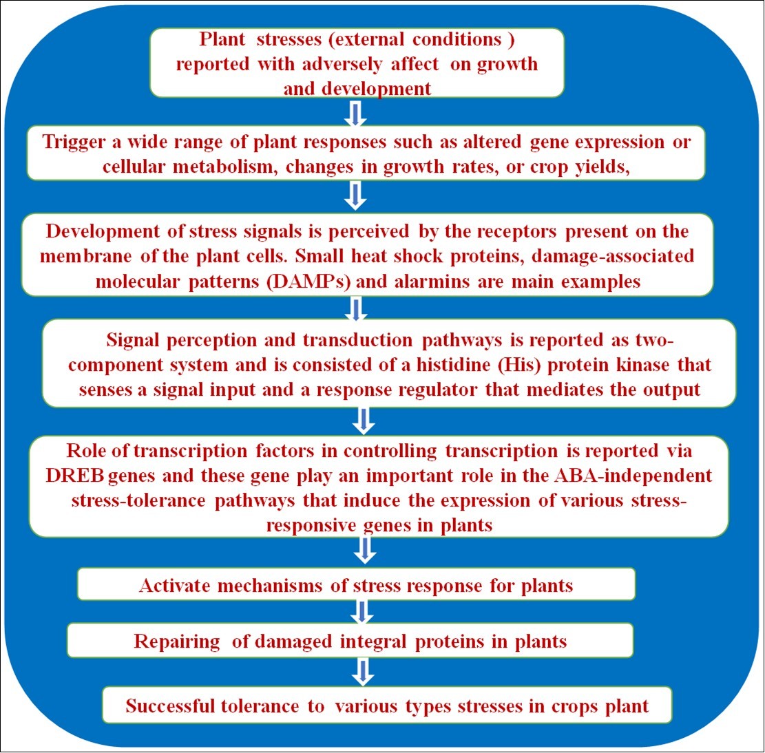 Different stress condition on Plant growth and its development