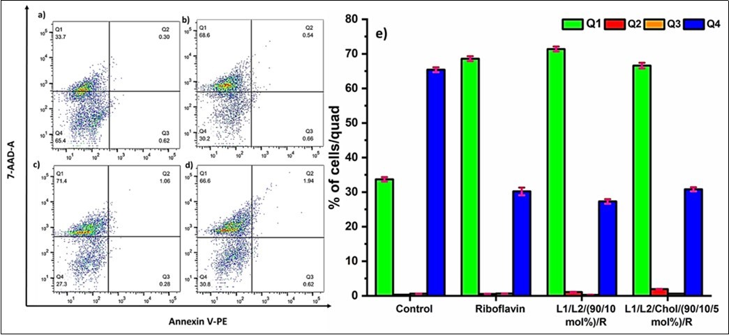 Apoptosis assay using Annexin V PE/7-AAD a) Control-Cells treated with UV b) Cells seeded with                 Unencapsulated Riboflavin and UV treated c) Cells seeded with Formulation L1/L2 (90/10 mol%)/RB and           treated with UV d) Cells seeded with Formulation L1/L2/Chol (90/10/5 mol%)/RB and treated with UV e) Graphical representation of cell apoptosis in the four quadrants